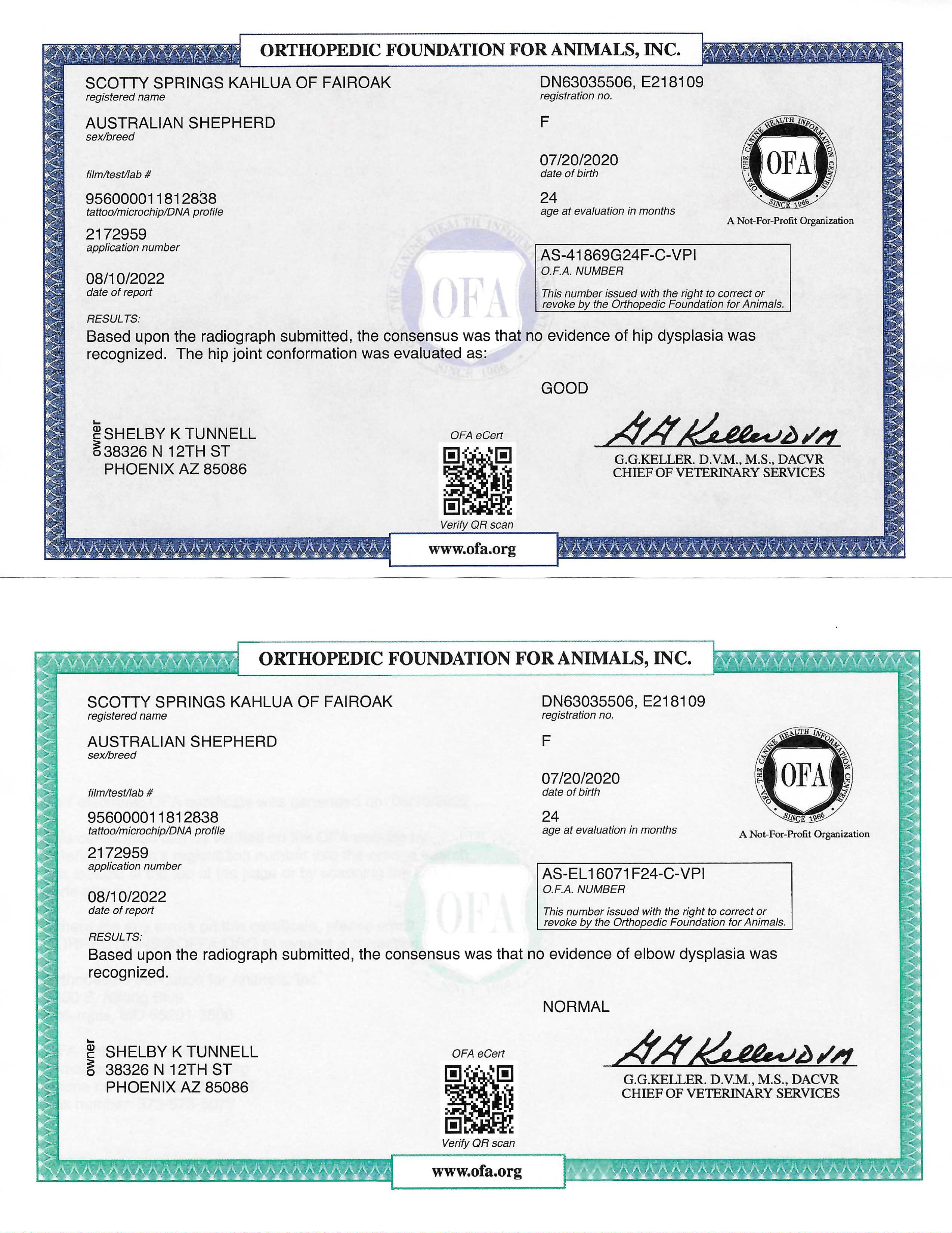 Scotty Springs Kahlua of Fairoak OFA Certificates
