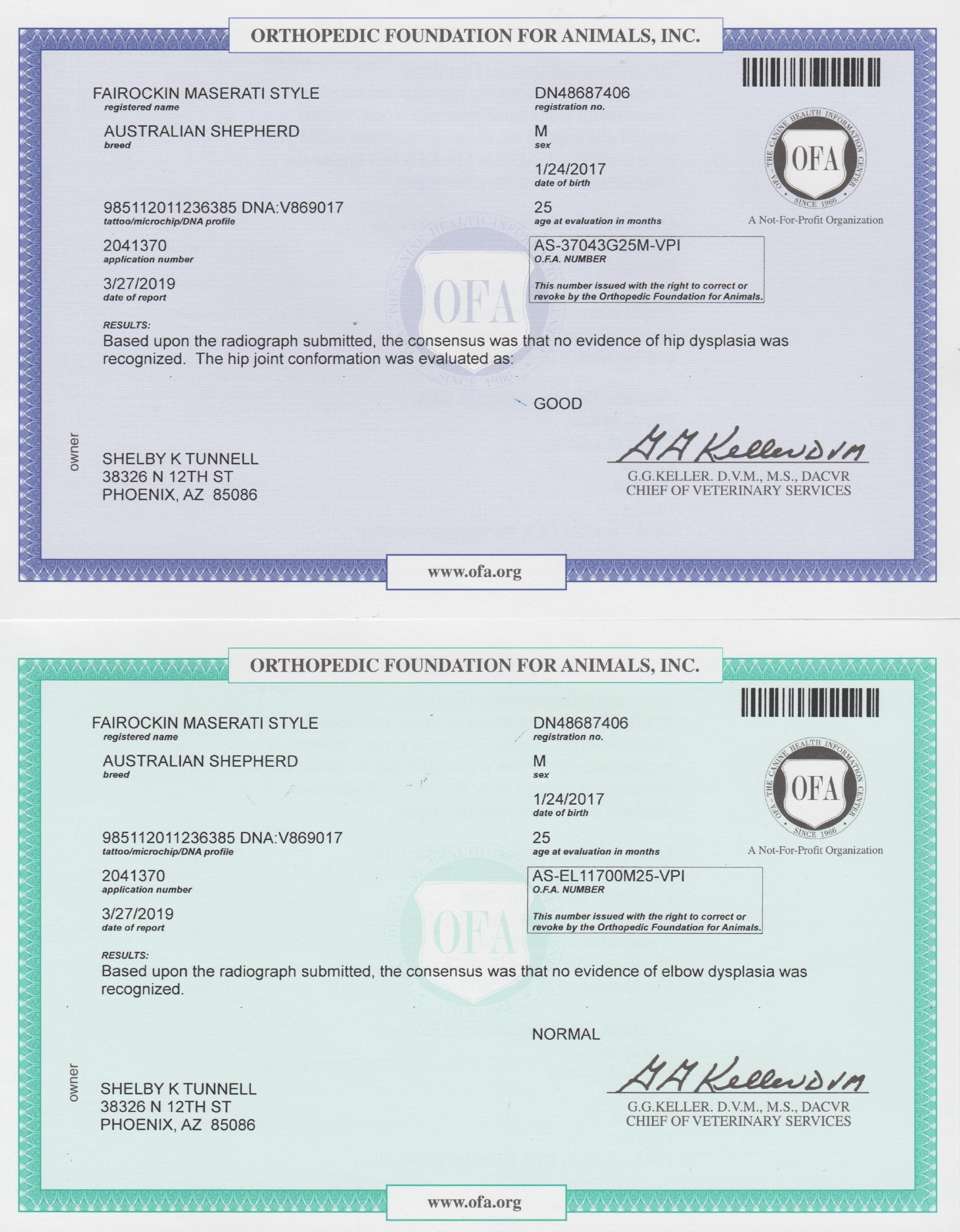 Fairockin Maserati Style OFA Certificates