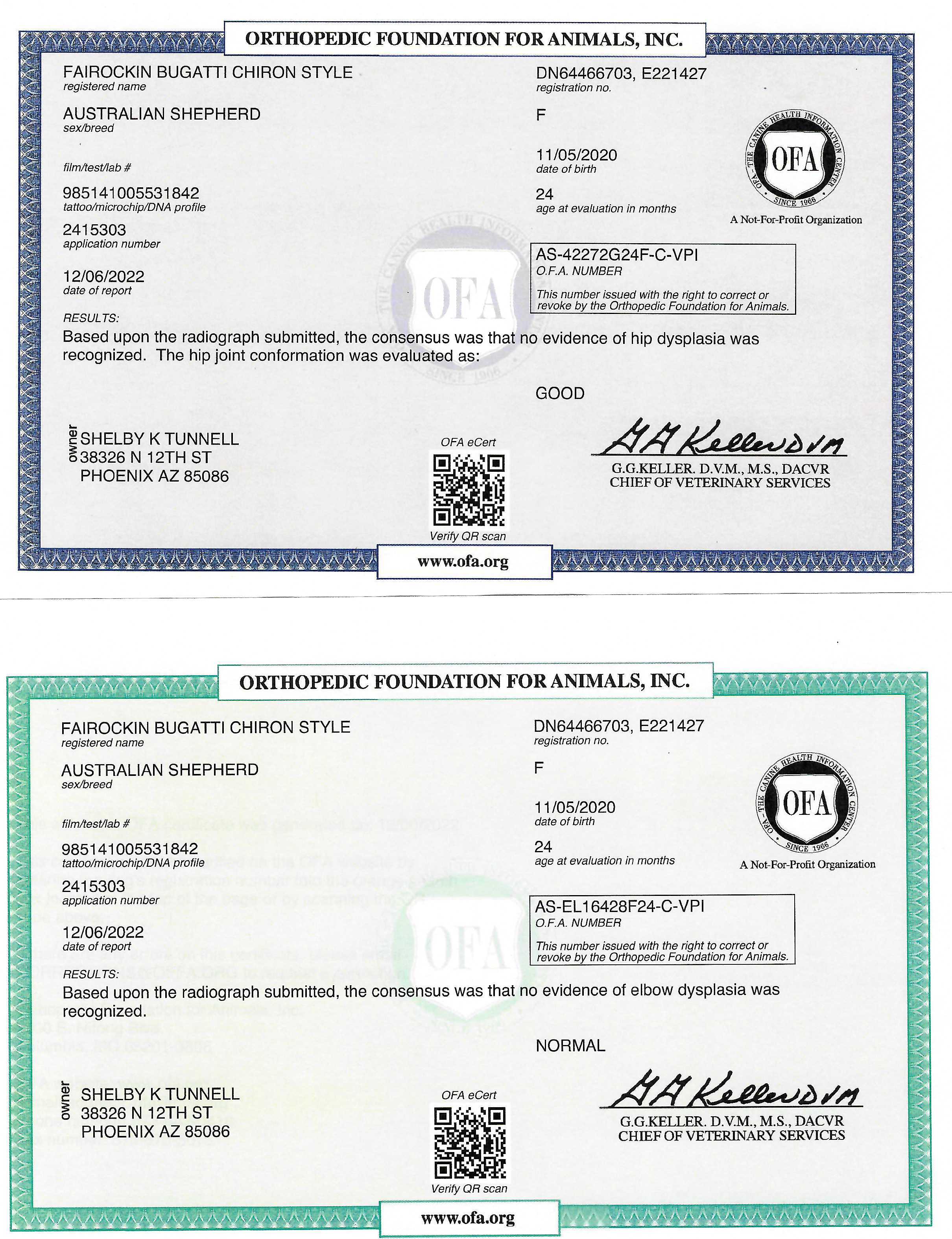 Fairockin Bugatti Chiron Style OFA Certificates