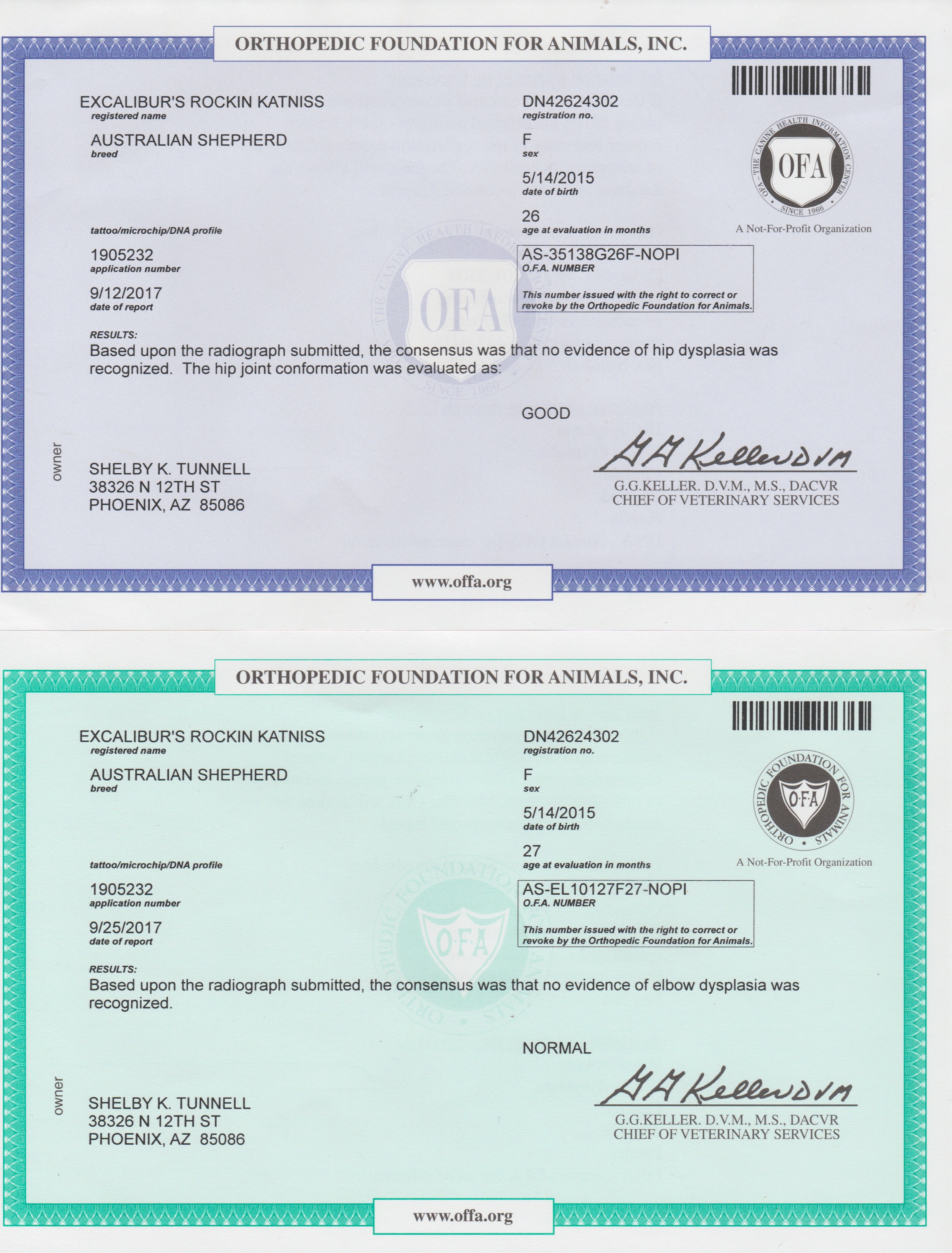Excalibur's Rockin Katniss' OFA Certificates