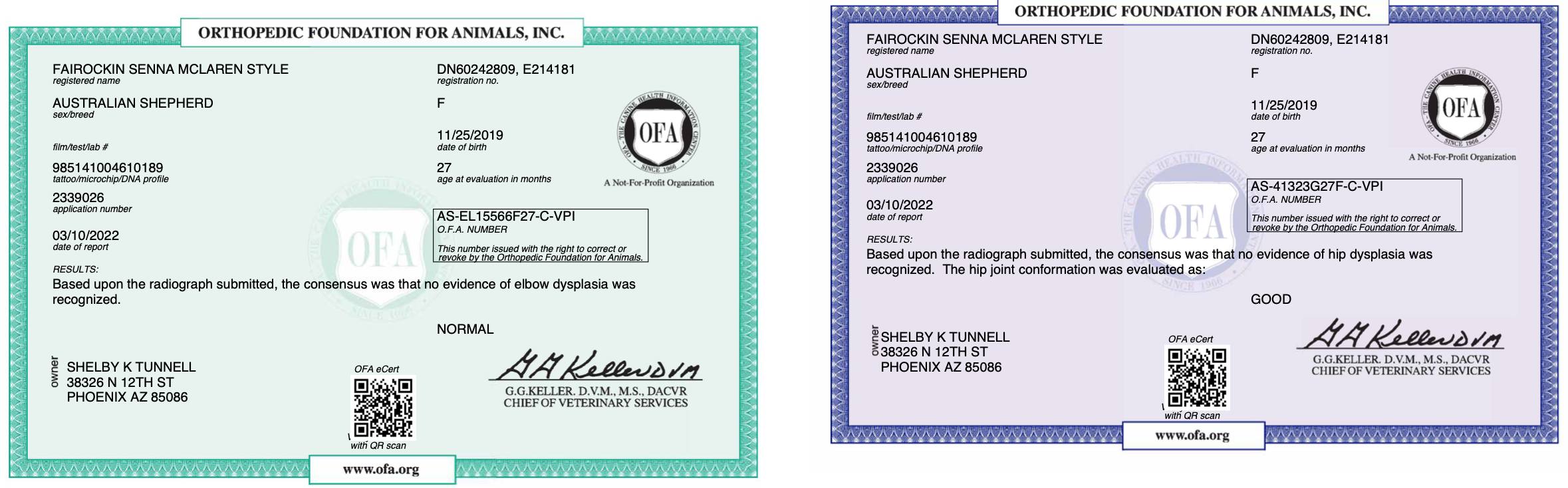 Fairockin Senna McLaren Style OFA Certificates