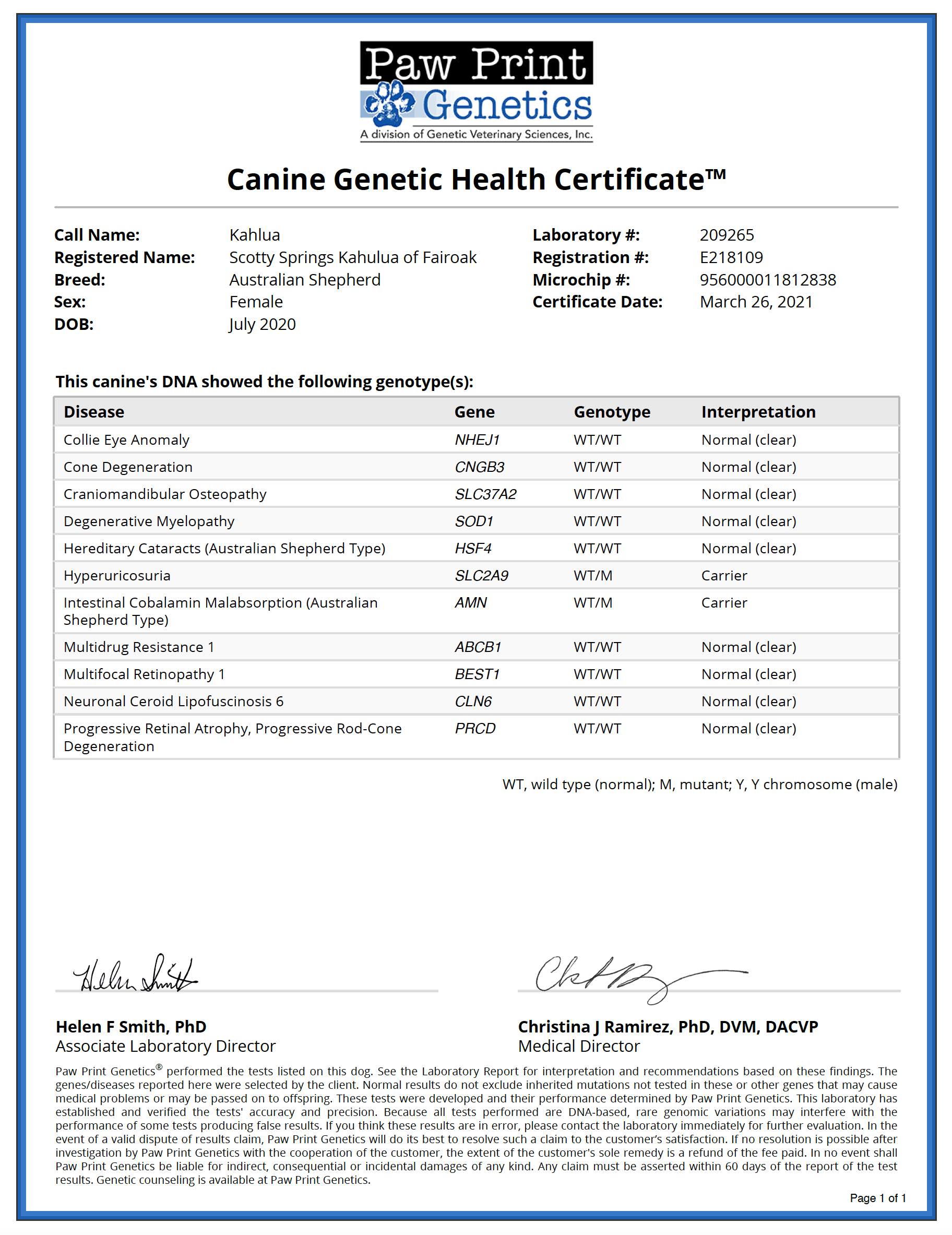 Scotty Spring's Kahlua of Fairoak