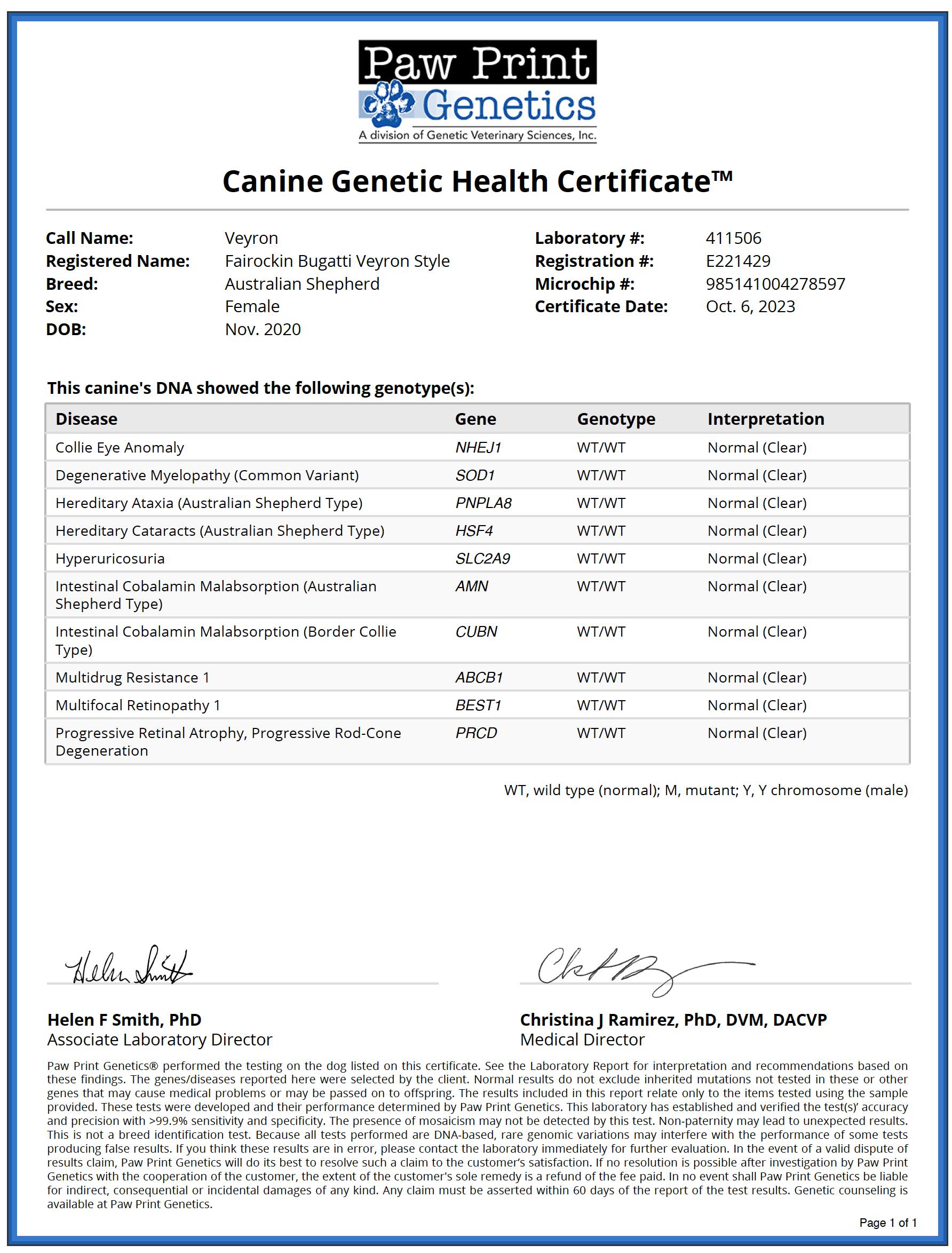 Fairockin Bugatti Veyron Style