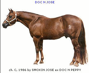 DOC N JOSE!  Sire of Joses Smokin Rayna!