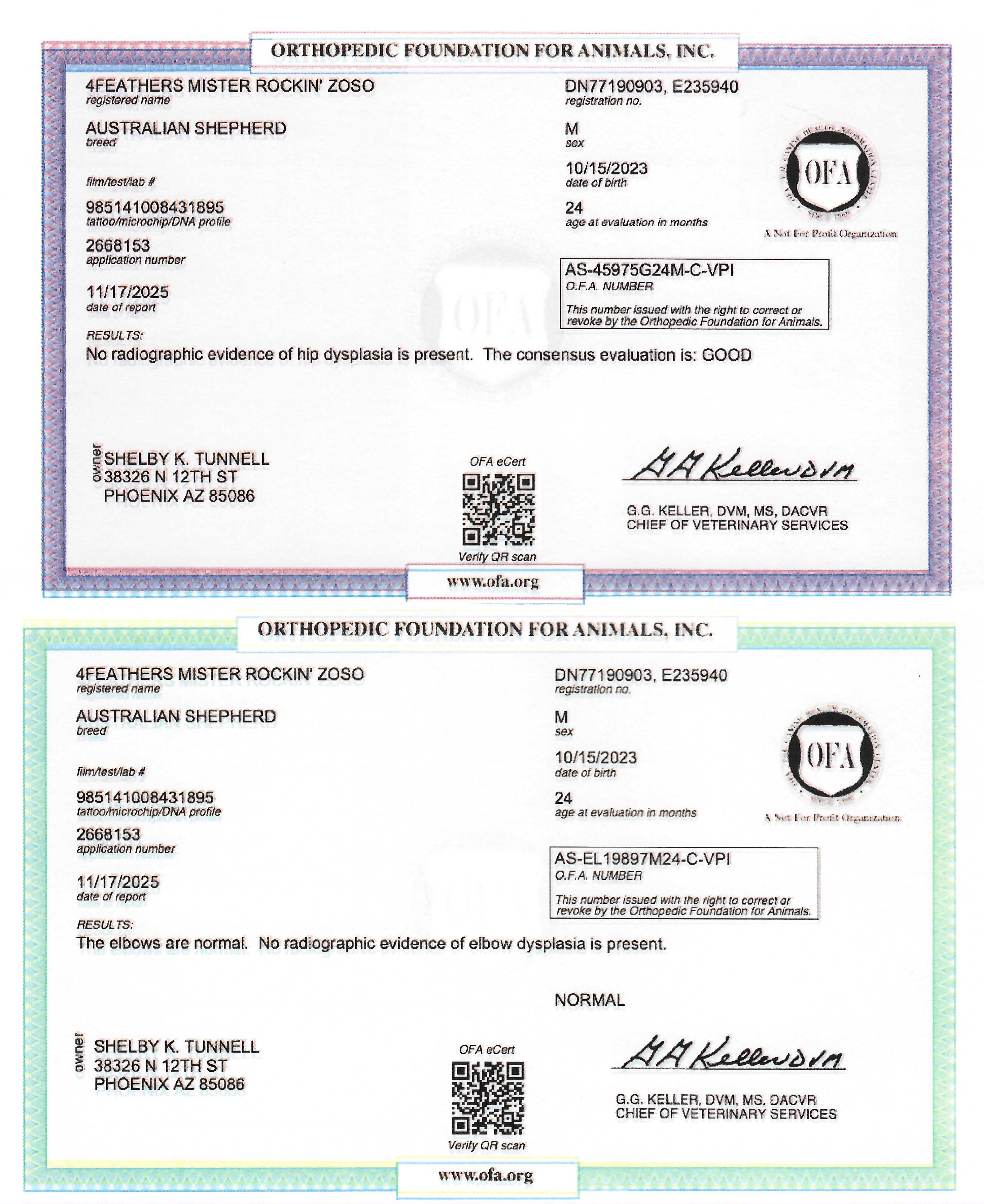 4Feathers Mister Rockin' Zoso's OFA Certificates