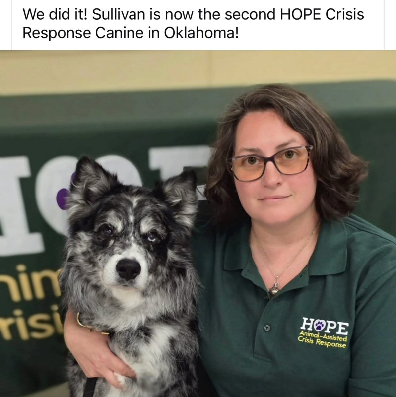 Fairockins Creeping Monster Sullivan RN PT FDC NA NAJ CAX FCAT2 RATO CGCA TKI ATT FITG (Darra x Oz)