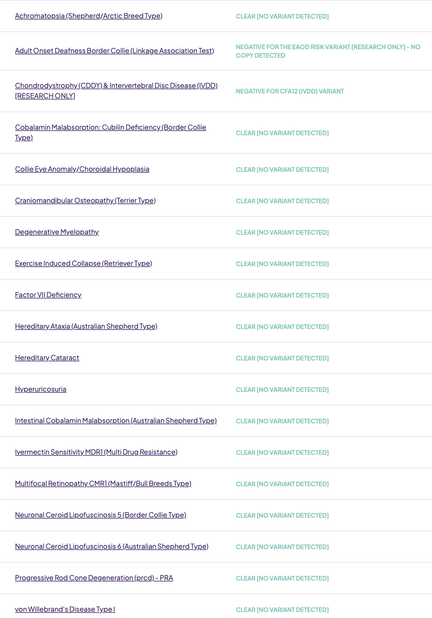 Fairockin Trio Taffy in a Hemi Orivet Health Testing