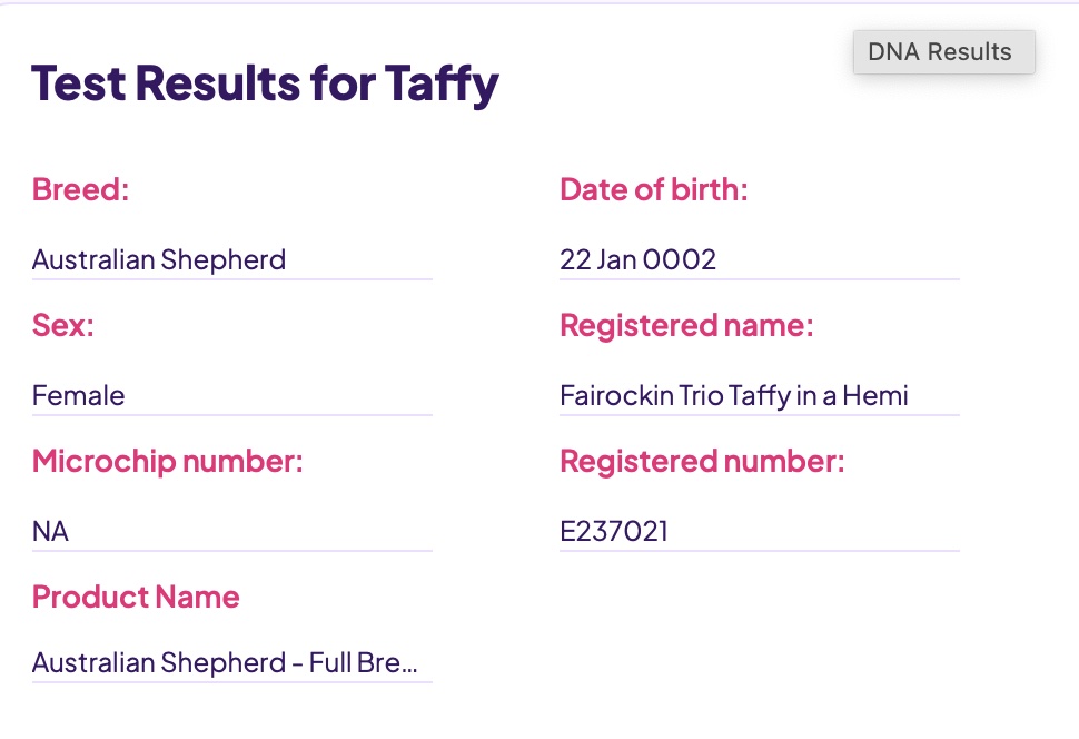 Fairockin Trio Taffy in a Hemi Orivet Health Testing