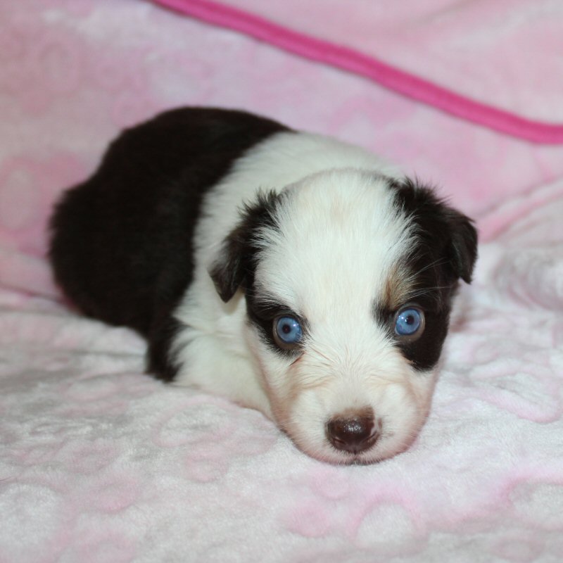  Picture COMING SOON! 