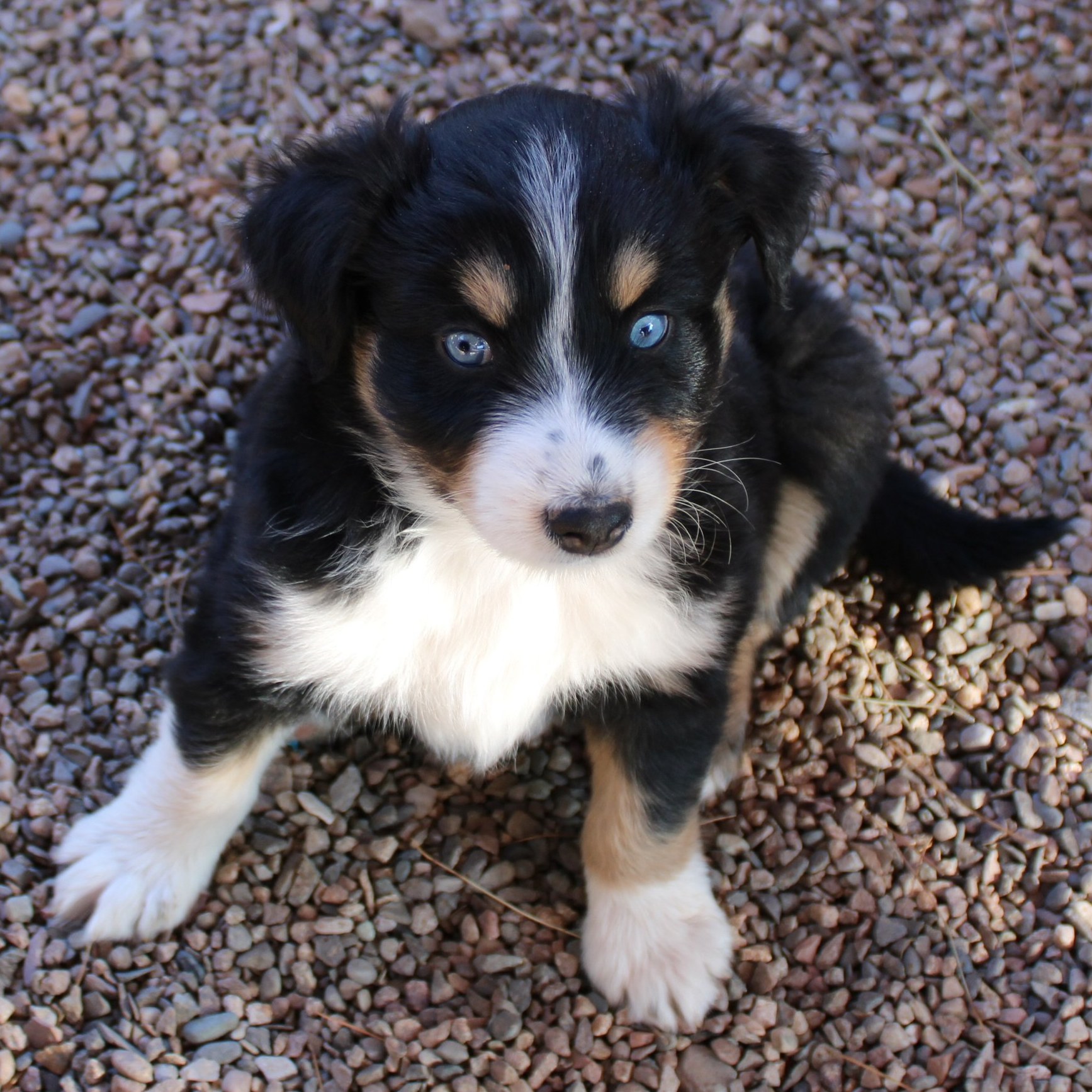  Picture COMING SOON! 