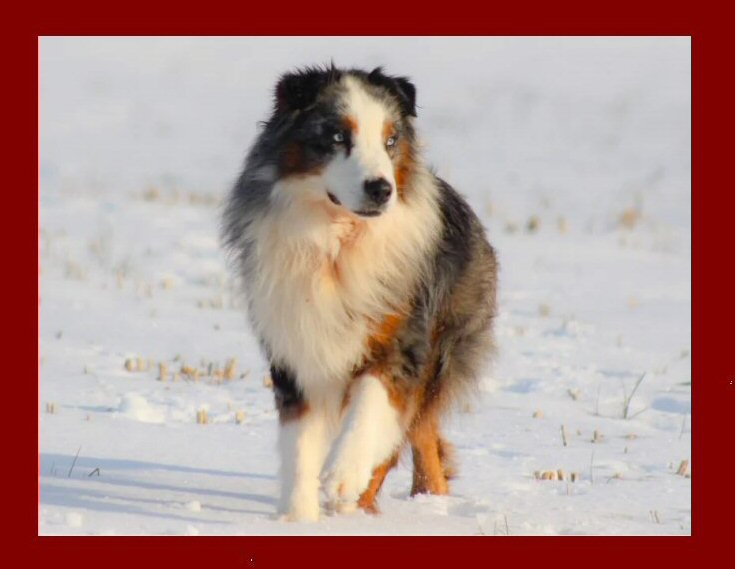 Zoso's maternal great great grandparents!